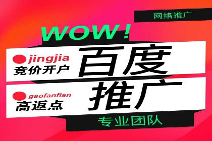 行业领先企业的sem账户竞价运营策略